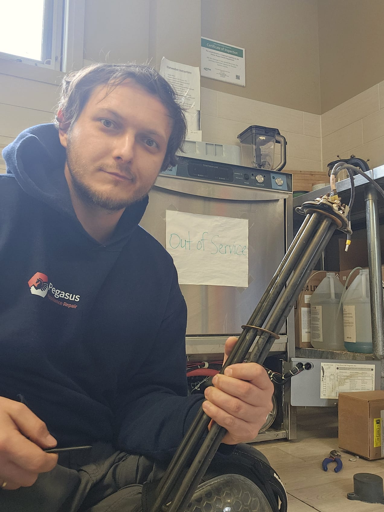 Commercial dishwasher heating element replacement