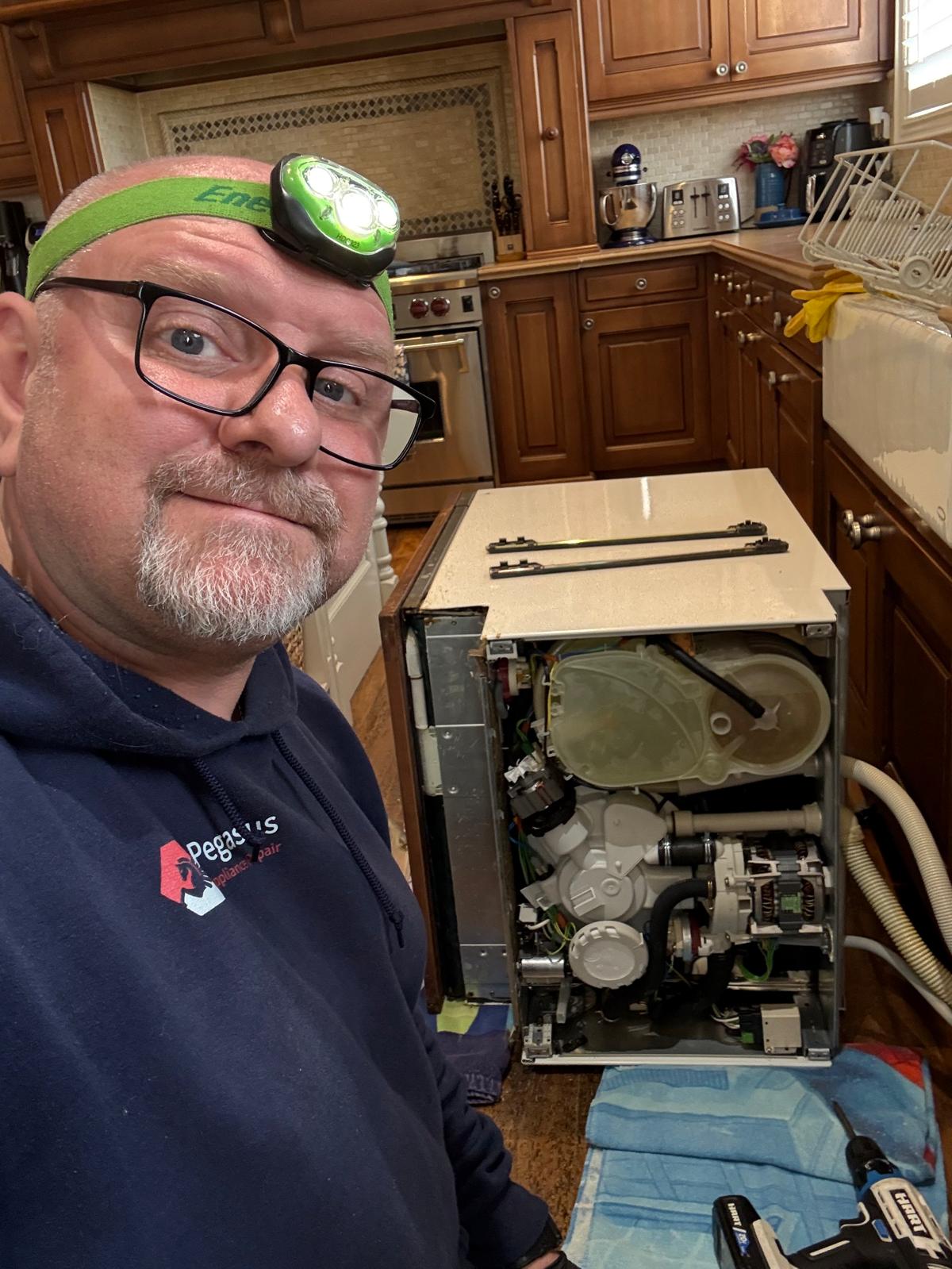 Miele dishwasher repair