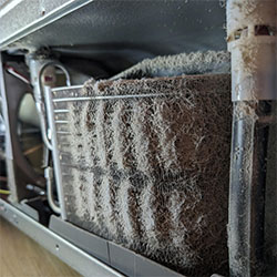 Fridge condenser coils clogged with industrial particulate in Hamilton home