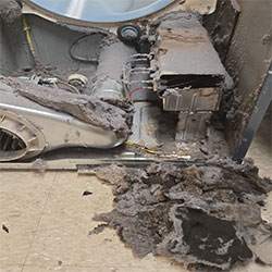 heavy usage dryer lint buildup in St. Catharines home