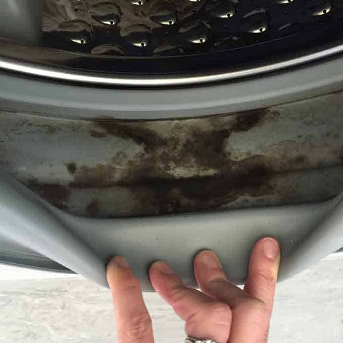 Front-load washer gasket replacement