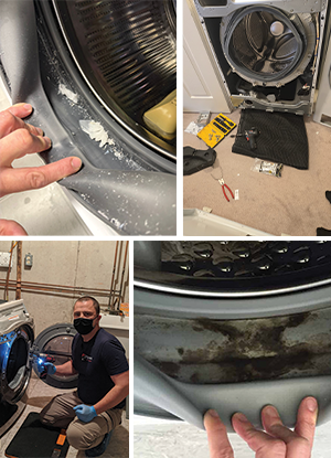 Washer mold buildup and internal washer components during repair